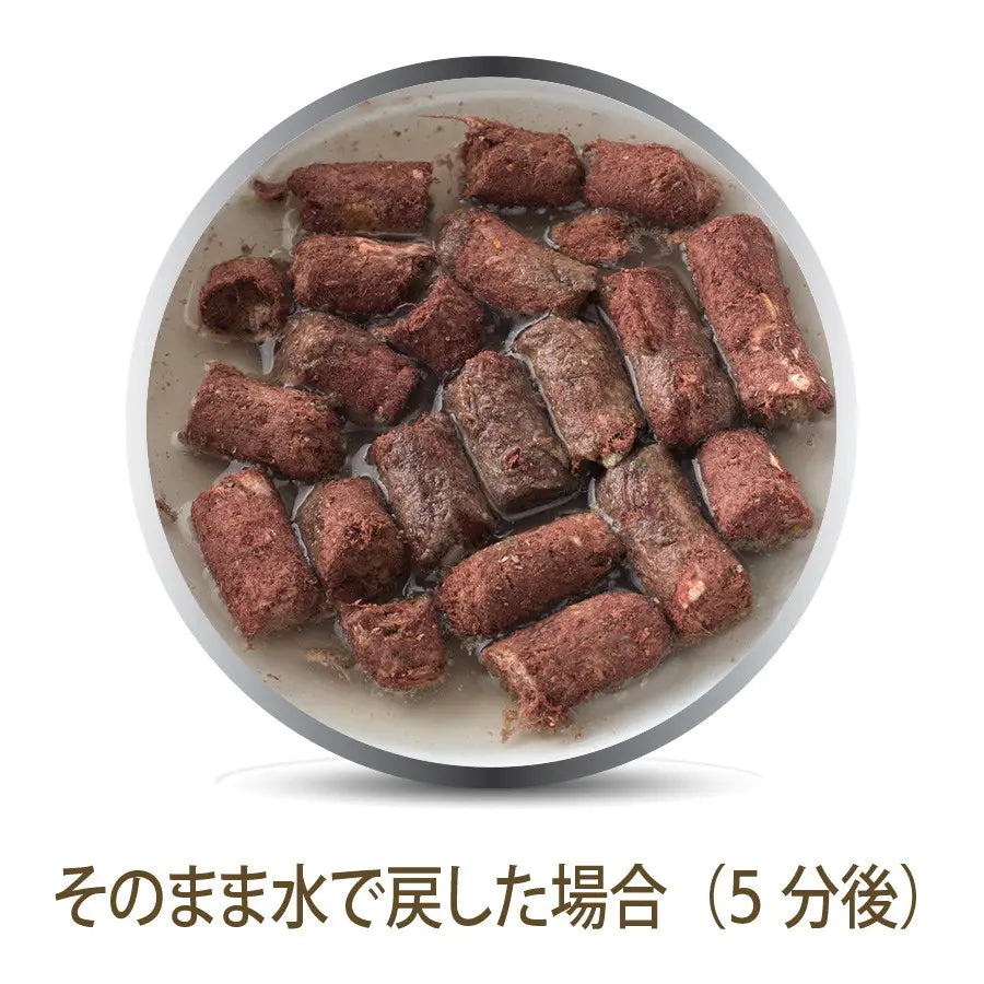 K9ビーフ・フィースト